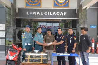 Lanal Cilacap menunjukkan barang bukti penyelundupan benih lobster. (Lanal Cilacap).