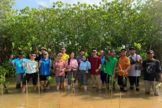 Jajaran manajeman Noola Hotel Cilacap peringati Hari Bumi dengan menanam mangrove. (Noola Hotel).
