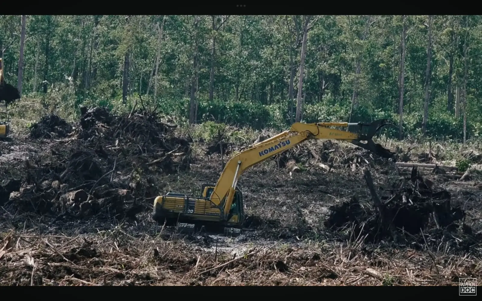 Tangkapan layar film dokumenter pesta babi yang rencananya akan di putar dalam nobar komunitas Godong Gedang Banjarnegara.