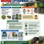 Waspada Leptospirosis Saat Musim Hujan, Kenali Bahaya dan Cara Pencegahannya