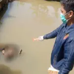 Petugas evakuasi dan olah TKP mayat pria mengambang di kolam warga di Wanareja Cilacap. (Polresta Cilacap).