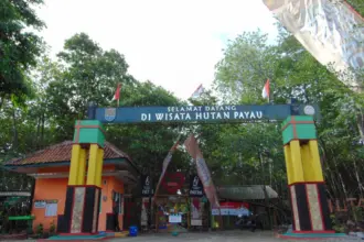 hutan payau