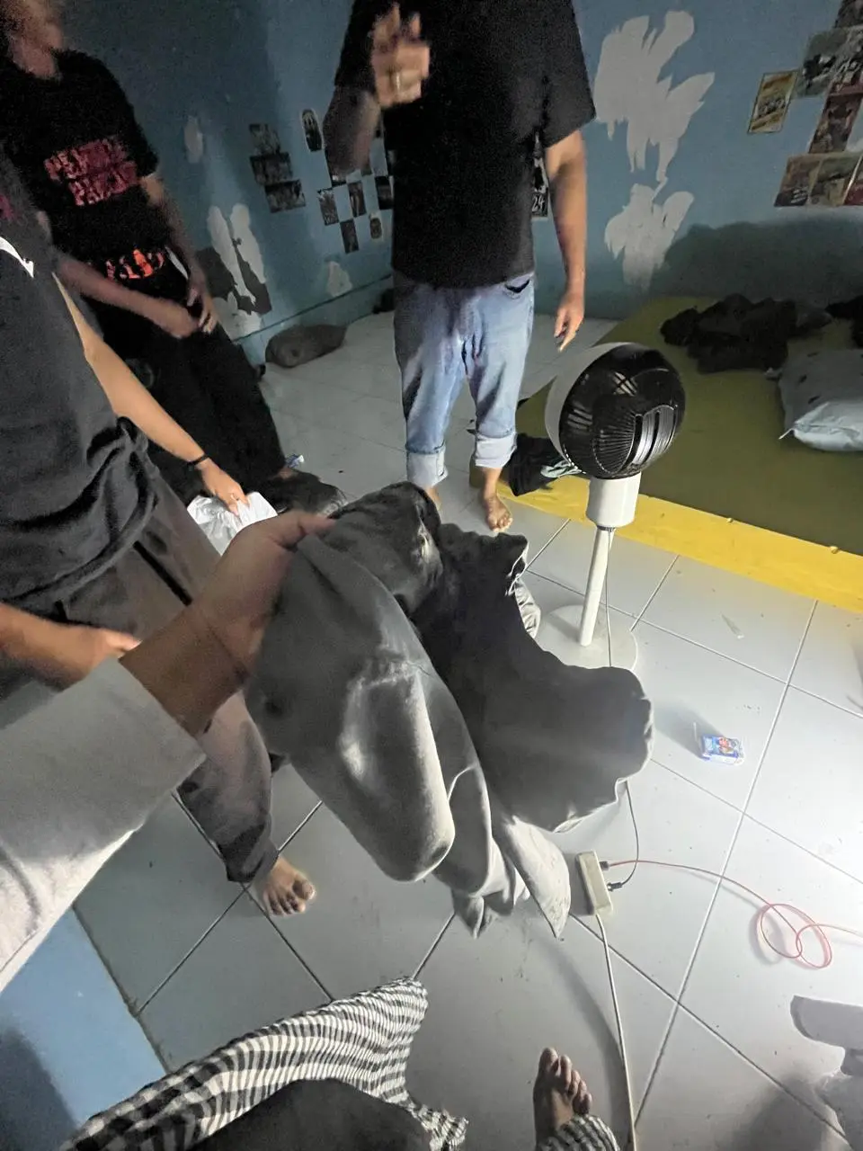 Penganiayaan sultan ahmad aidan polresta banyumas