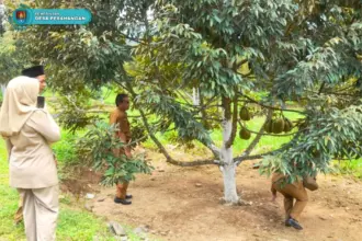 desa wisata pesahangan