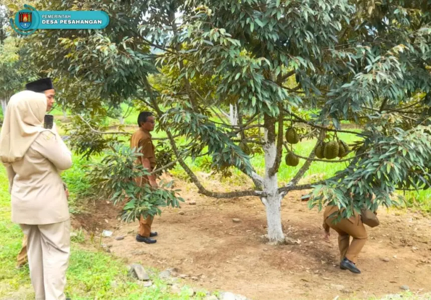 desa wisata pesahangan