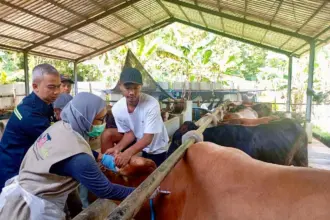 layanan kesehatan hewan gratis