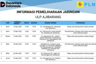 pemadaman listrik