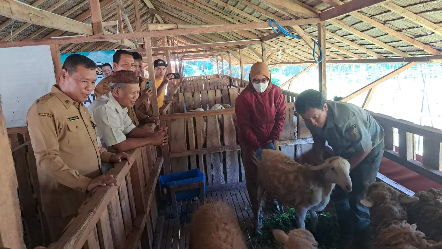 Baznas Cilacap Layanani DAM Haji, Siapkan 250 Kambing untuk Jemaah