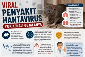 Penjelasan penyakit Hantavirus yang dibawa oleh tikus.