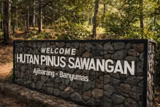 hutan pinus sawangan