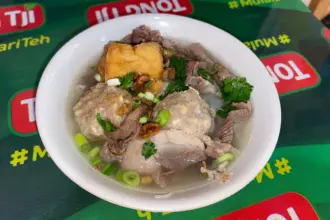 Bakso organ