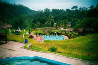 Desa melung