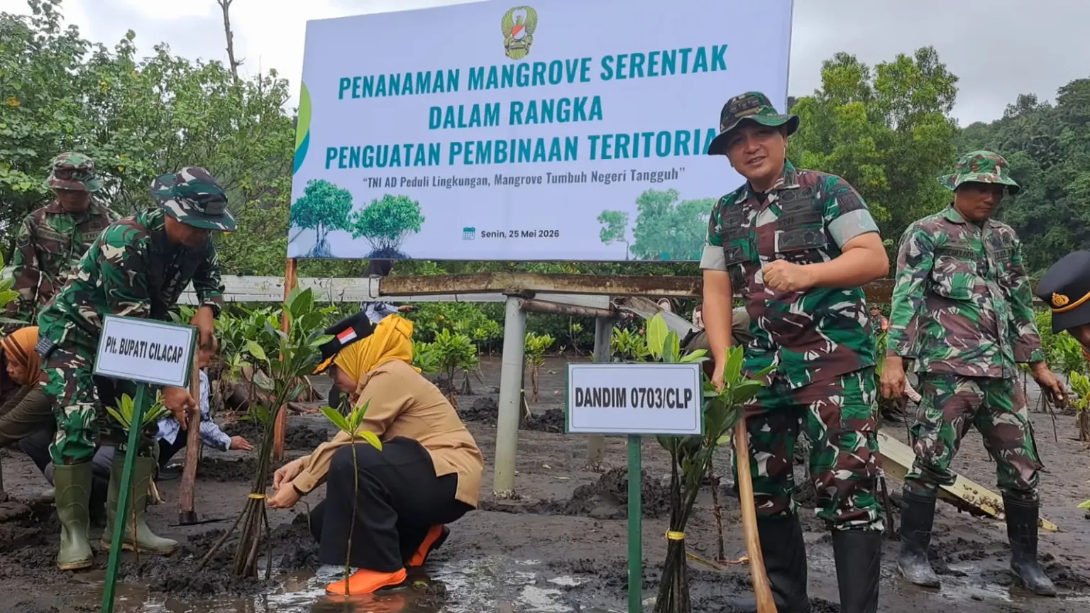 TNI Bersama Pemkab Cilacap Hijaukan Pantai Sodong dengan 1.000 Mangrove
