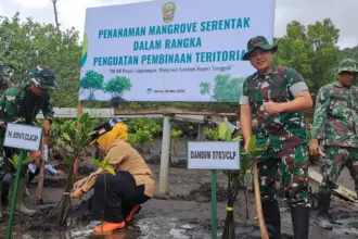 TNI Bersama Pemkab Cilacap Hijaukan Pantai Sodong dengan 1.000 Mangrove