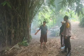 pembakaran limbah