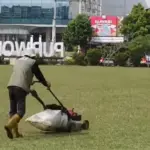 rumput alun-alun purwokerto