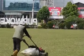 rumput alun-alun purwokerto