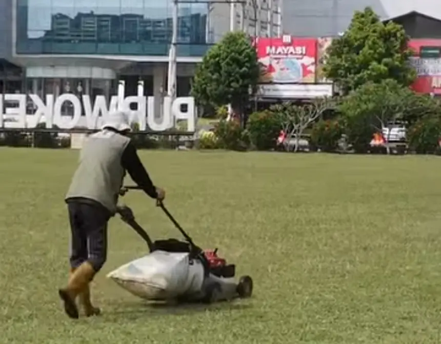 rumput alun-alun purwokerto