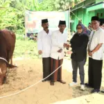Sapi Jumbo Bobot 1 Ton Bantuan Presiden Prabowo Disembelih di Kedungreja Cilacap