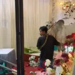 Sapi kurban