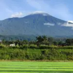 kemutug lor