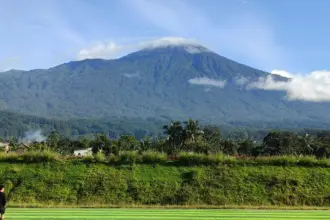 kemutug lor