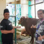 Solusi Bangun Indonesia Salurkan 21 Hewan Kurban di Cilacap, Warga Sekitar Pabrik Kebagian