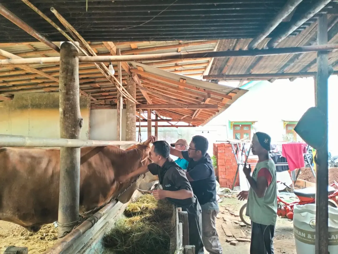 Jelang Iduladha, Cilacap Genjot 5.000 Vaksin Sapi, 160 Petugas Turun Lapangan