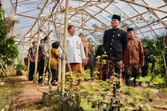Gubernur mengunjungi sekolah tani