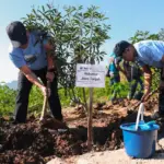 Hijaukan lingkungan. Gubernur bakal indak tegas pengusaha tambang nakal