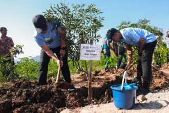 Hijaukan lingkungan. Gubernur bakal indak tegas pengusaha tambang nakal