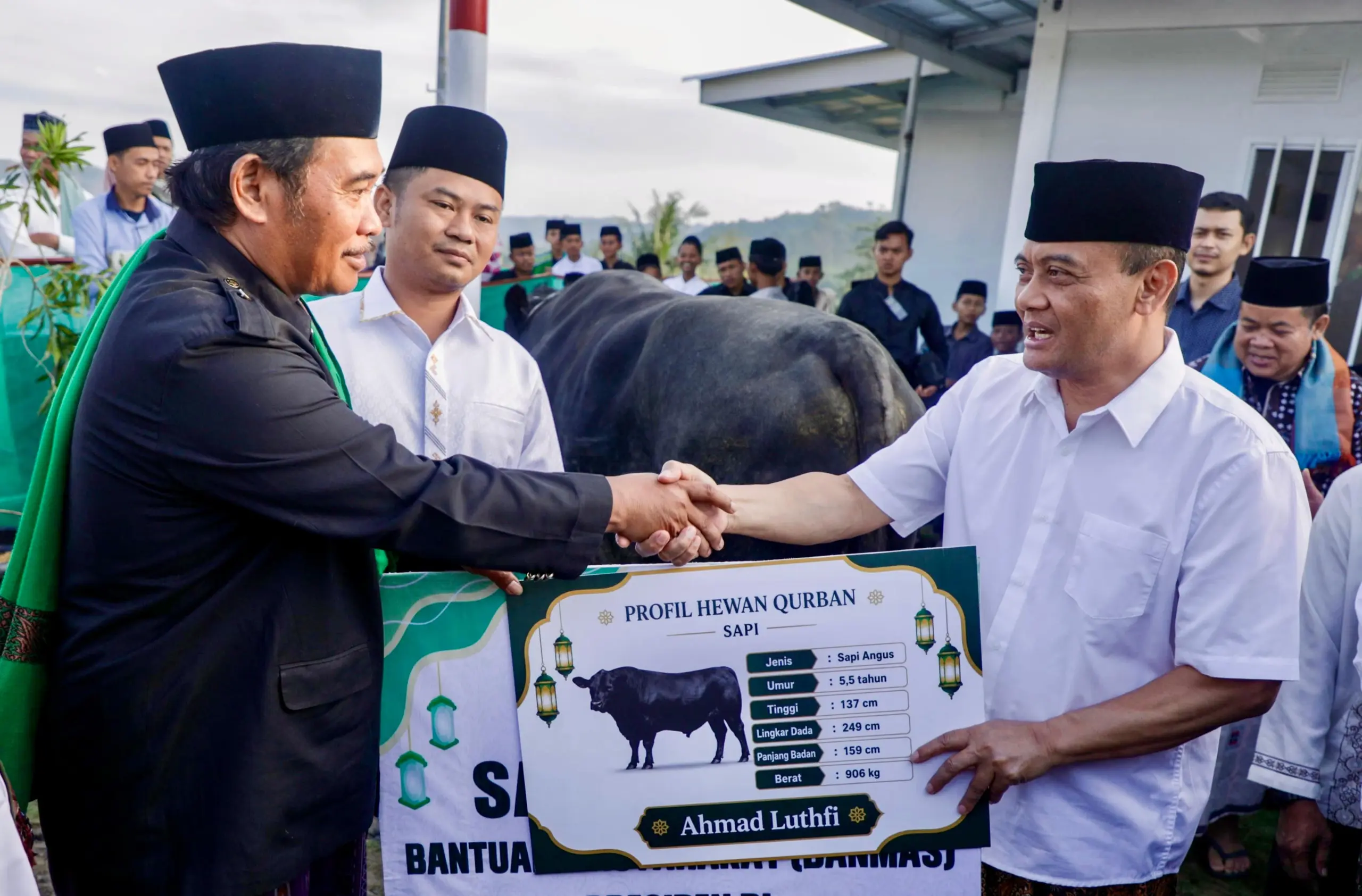 Gubernur serahkan sapi untuk kurban di huntara Tegal