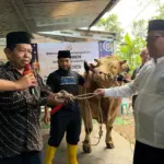 Sapi kurban presiden Prabowo