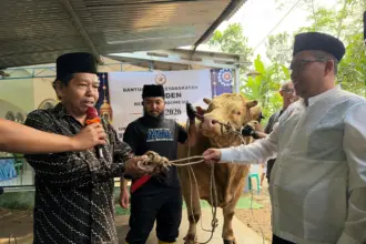 Sapi kurban presiden Prabowo