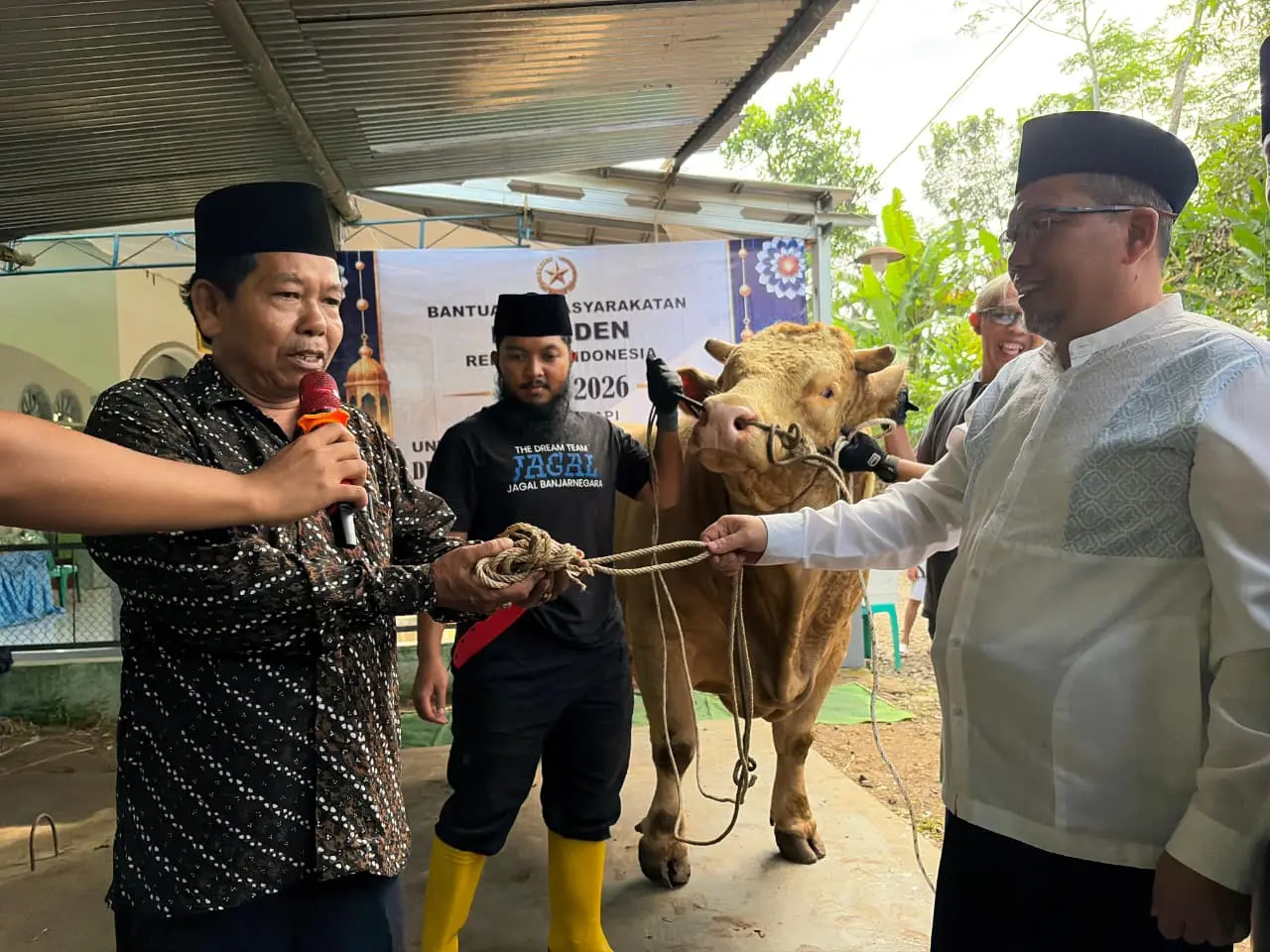Sapi kurban presiden Prabowo