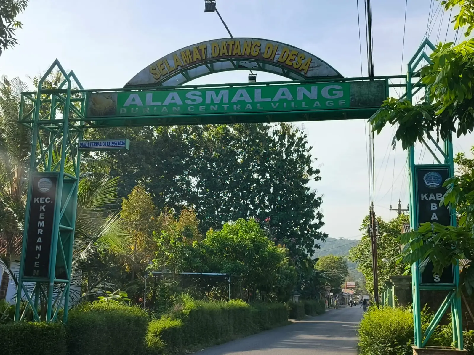 alasmalang Menjelajah Desa Alasmalang di Banyumas, Sentra Durian Bawor Nan Edukatif