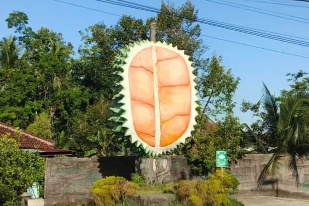 Desa Alasmalang