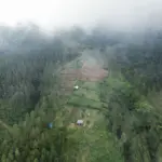 Penampakan kondisi hutan Perhutani wilayah Desa Jatilawang Kecamatan Wanayasa pada 14 Juni 2026. (Foto: Relawan PETA Banjarnegara)