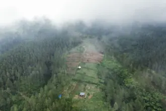 Penampakan kondisi hutan Perhutani wilayah Desa Jatilawang Kecamatan Wanayasa pada 14 Juni 2026. (Foto: Relawan PETA Banjarnegara)