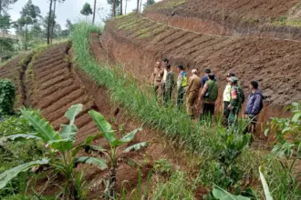 Alih Fungsi Hutan di Kalibening Picu Krisis Air dan Ancaman Bencana, 6 Penggarap Akhirnya Sepakat Hentikan Penggarapan