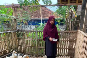 Kisah Sukses Windi Warga Banjarnegara, Manfaatkan Sampah Organik Rumah Tangga Jadi Telur dan Rupiah